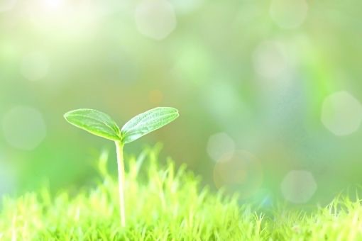 【川越市南大塚｜中古戸建て売却事例】引渡し完了しました！